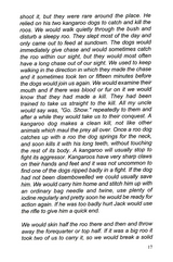 Pages/14.jpg@