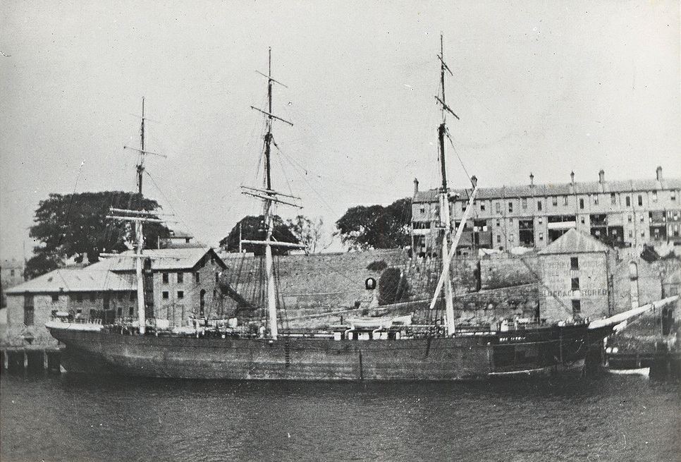 MacDiarmid berthed at Sydney Harbour