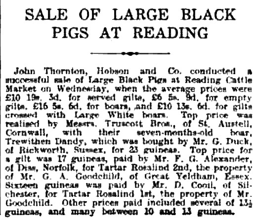 Sale of Large Black Pigs at Reading